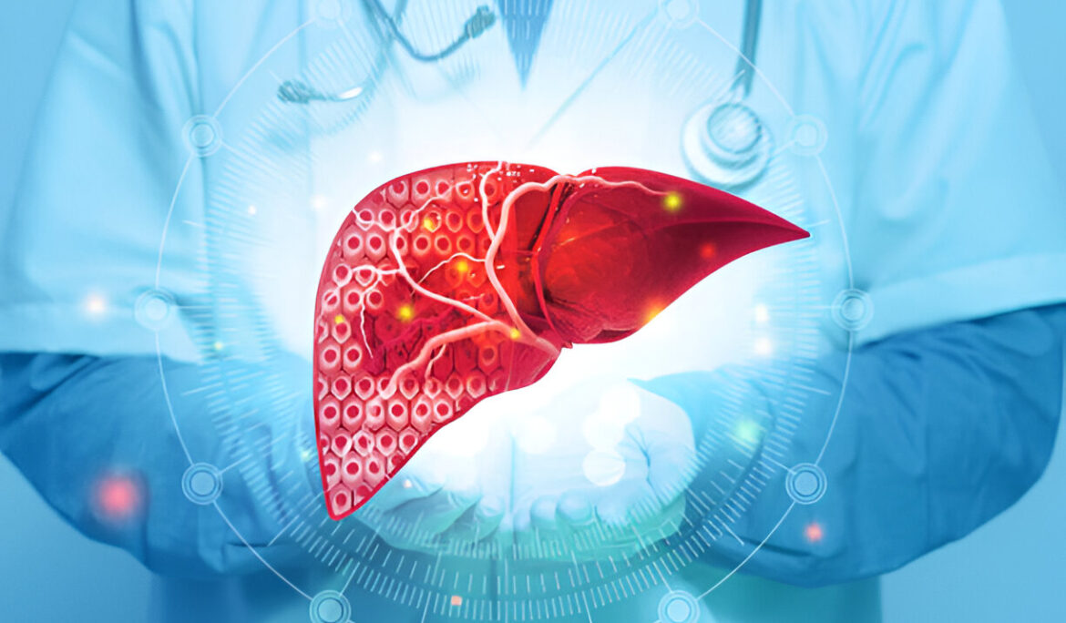 Understanding Fatty Liver: A Comprehensive Guide to Causes, Symptoms, and Treatment - Empat Pillar Medika