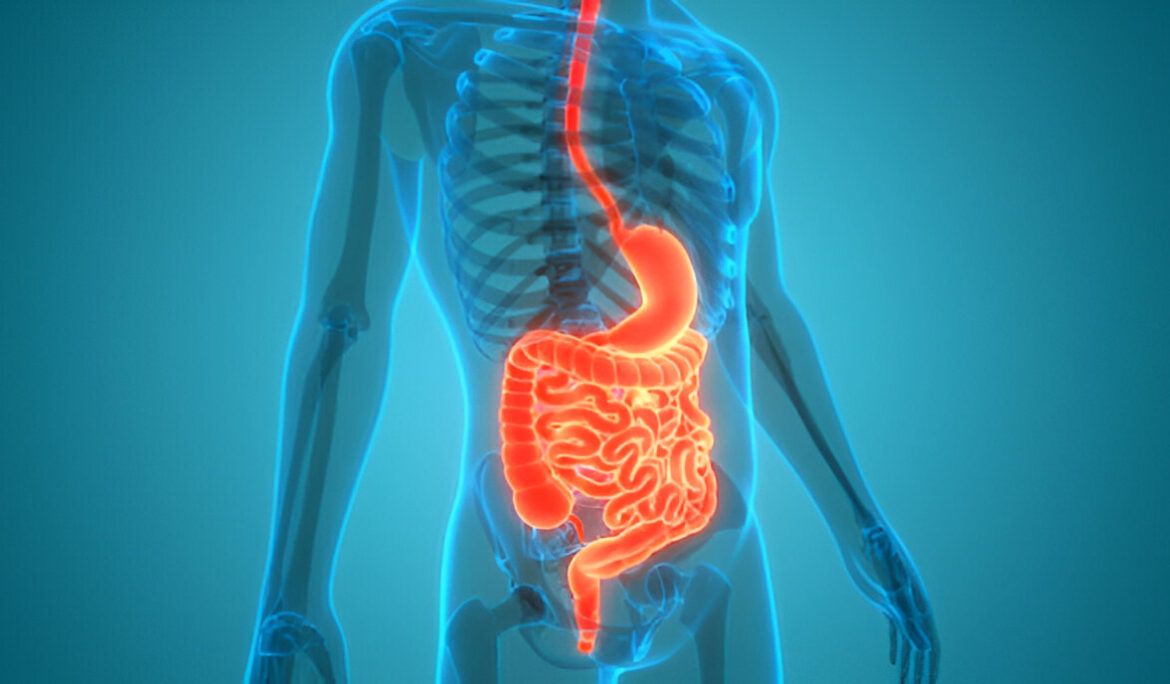 10 Fascinating Things You Need to Know About Your Digestive System - Empat Pillar Medika