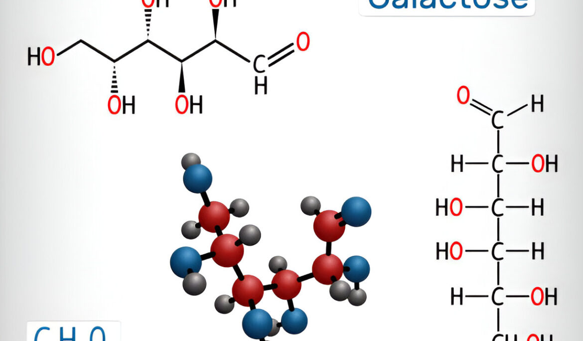 Foamy Urine: Could it be a Sign of Galactosemia in Adults? - Empat Pillar Medika