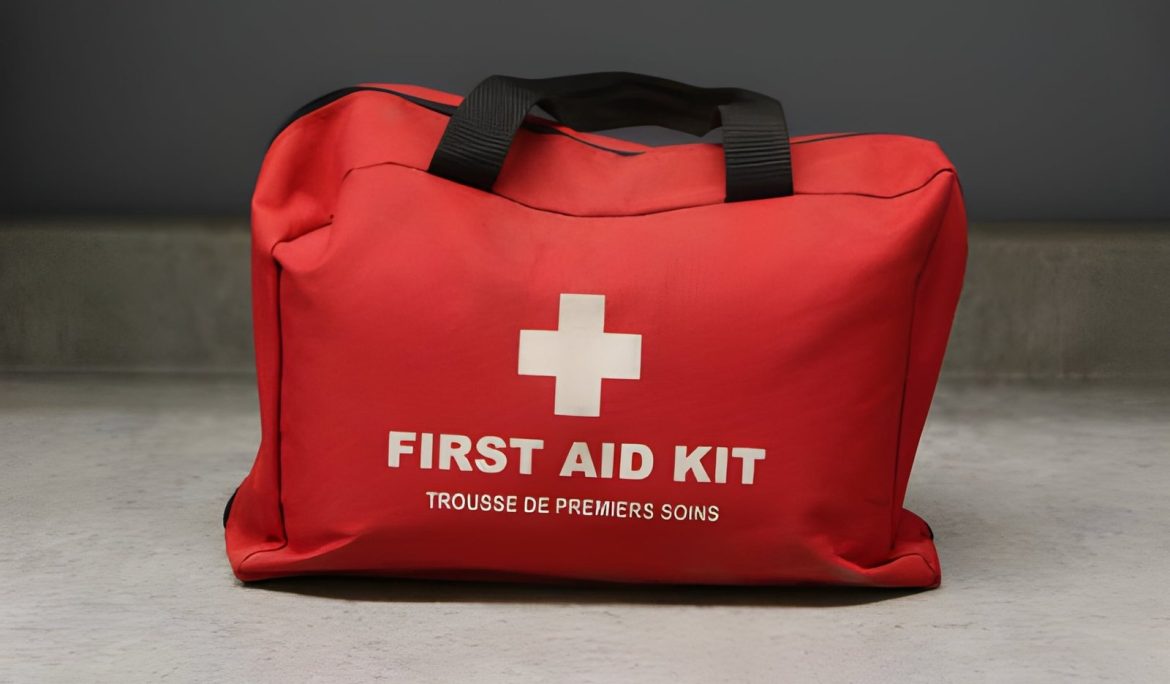 First Aid for Insect Bites and Stings in Tropical Climates - Empat Pillar Medika
