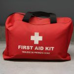 First Aid for Insect Bites and Stings in Tropical Climates - Empat Pillar Medika