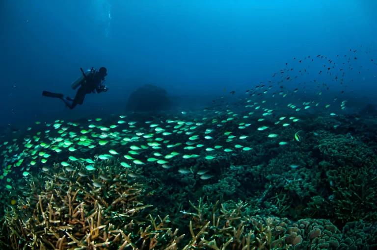 Dehydration and Scuba Diving in Gili T - Empat Pillar Medika