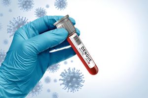 Dengue Fever vs. Heatstroke: Recognizing the Symptoms - Empat Pillar Medika