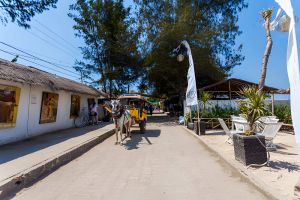 Cidomo Dust and Sinusitis: Protecting Your Respiratory Health - Empat Pillar Medika